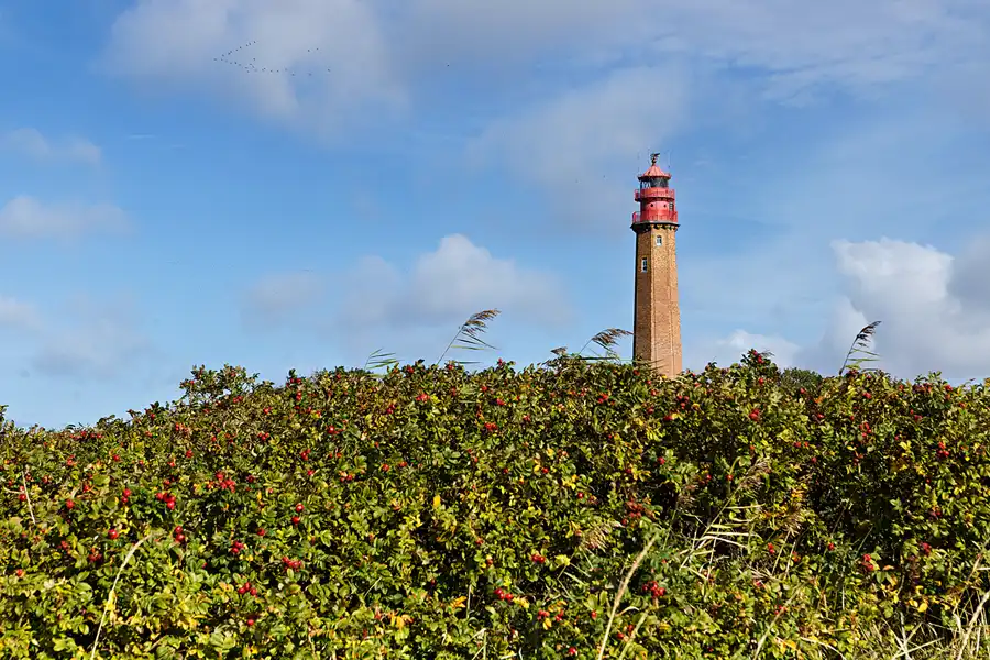 002 | 2026 | Fehmarn | Leuchtturm Flügge | © carsten riede fotografie