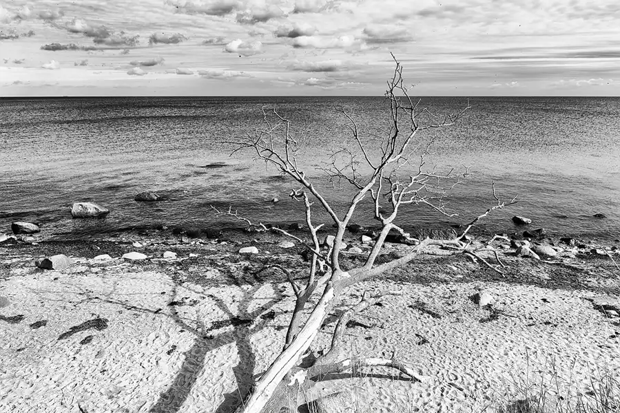 023 | 2026 | Fehmarn | Steilküste Staberhuk | © carsten riede fotografie