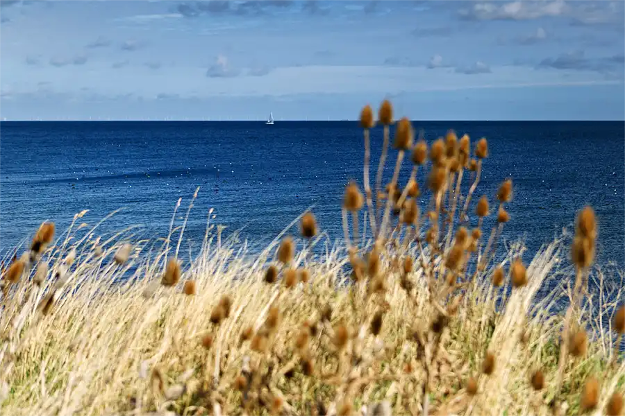 029 | 2026 | Fehmarn | Steilküste Staberhuk | © carsten riede fotografie