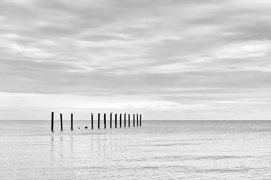 010 | 2026 | Behrensdorf (Ostsee) | © carsten riede fotografie