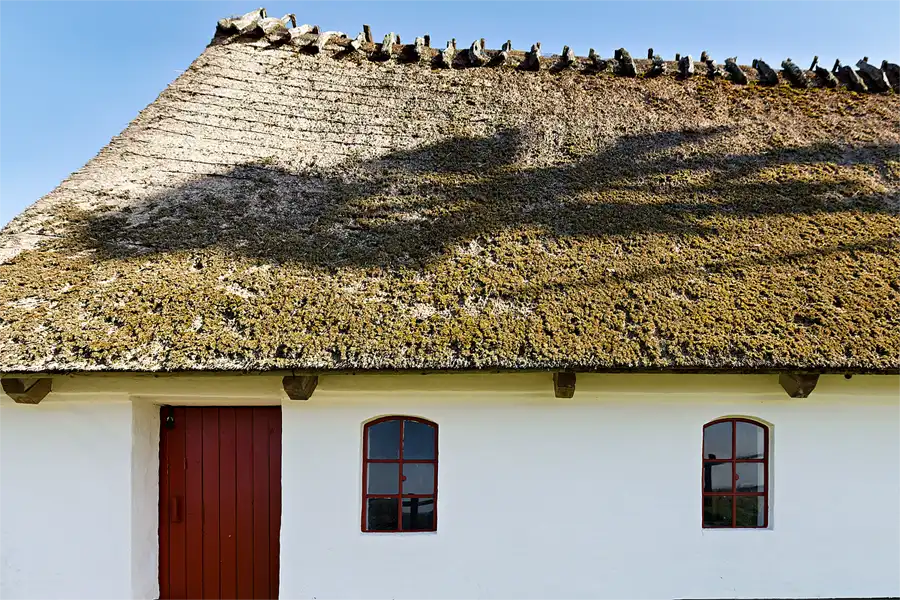 034 | 2026 | Nordborg | Havnbjerg Molle | © carsten riede fotografie