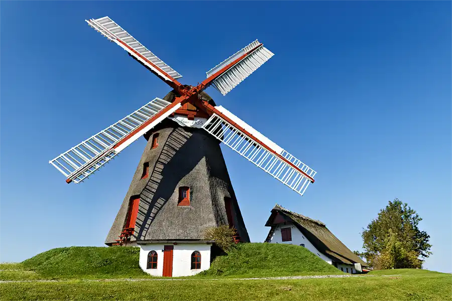 036 | 2026 | Nordborg | Havnbjerg Molle | © carsten riede fotografie