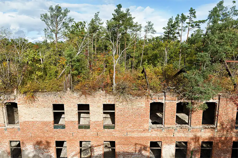046 | 2026 | Beelitz-Heilstätten | Heilstätten | © carsten riede fotografie
