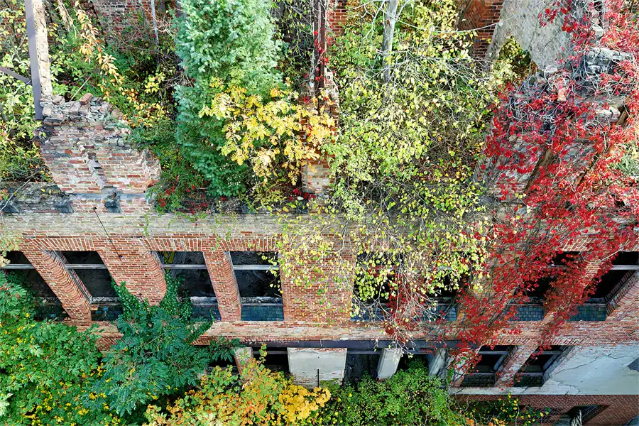 075 | 2026 | Beelitz-Heilstätten | Heilstätten | © carsten riede fotografie