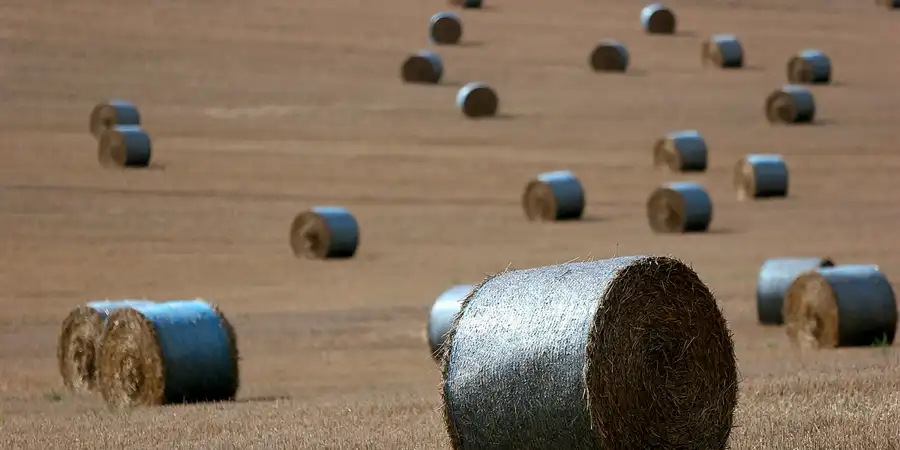 2005 | HARZ | DIES & DAS | © carsten riede fotografie