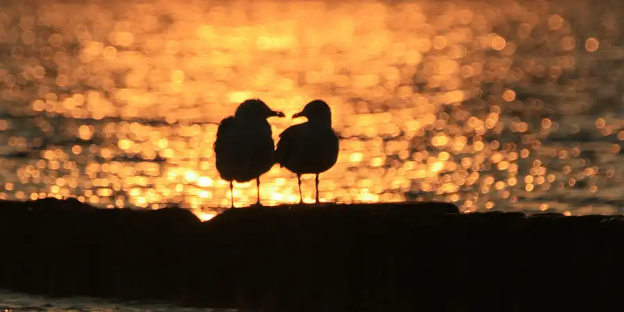 2006 | RÜGEN | HIDDENSEE | MEERBLICKE II | © carsten riede fotografie