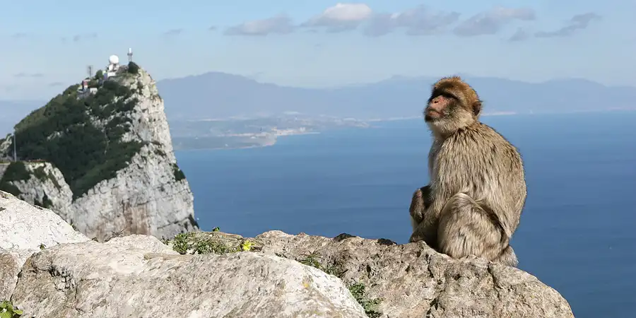 2007 | GIBRALTAR | THE ROCK | © carsten riede fotografie