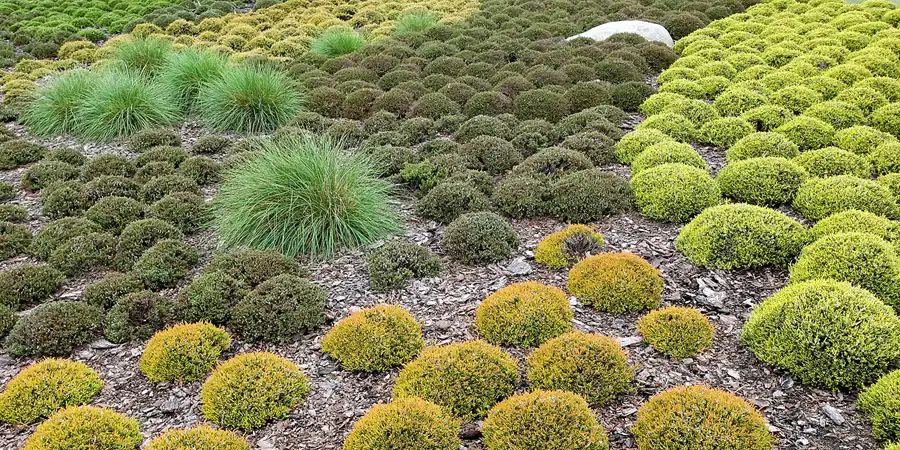 2008 | NOCHTEN | FINDLINGSPARK | © carsten riede fotografie