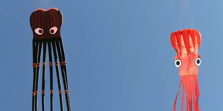 2011 | ROSTOCK-WARNEMÜNDE | KRAKE PAUL II. | © carsten riede fotografie