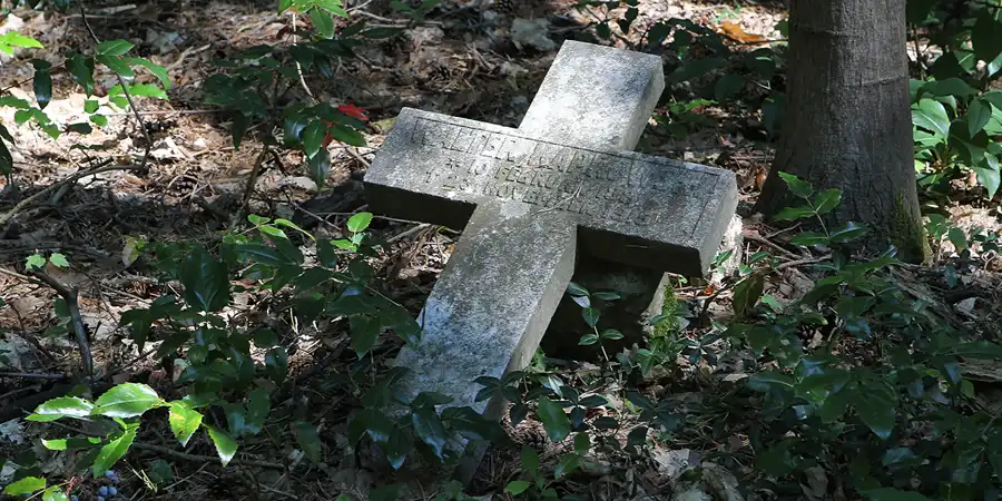 2013 | STAHNSDORF | SÜDWESTKIRCHHOF | © carsten riede fotografie