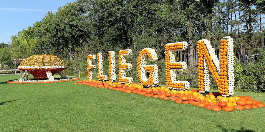 2016 | BEELITZ – GT KLAISTOW | FLIEGER, FLÜGEL, FLUGOBJEKTE | © carsten riede fotografie