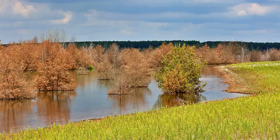 2022 | BRANDENBURG | INDUSTRIE TRIFFT NATUR | © carsten riede fotografie