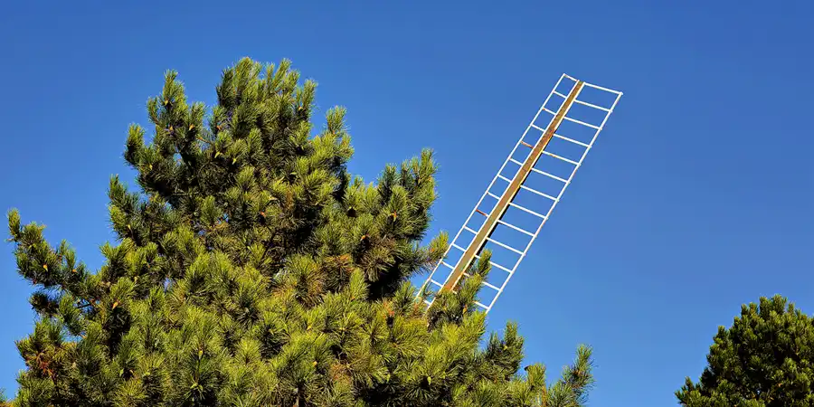2023 | OSTFRIESLAND | WINDMÜHLEN IN OSTFRIESLAND UND UMGEBUNG | © carsten riede fotografie
