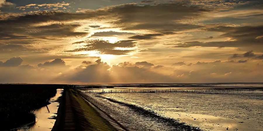 2023 | OSTFRIESLAND | OSTFRIESISCH HERB | © carsten riede fotografie