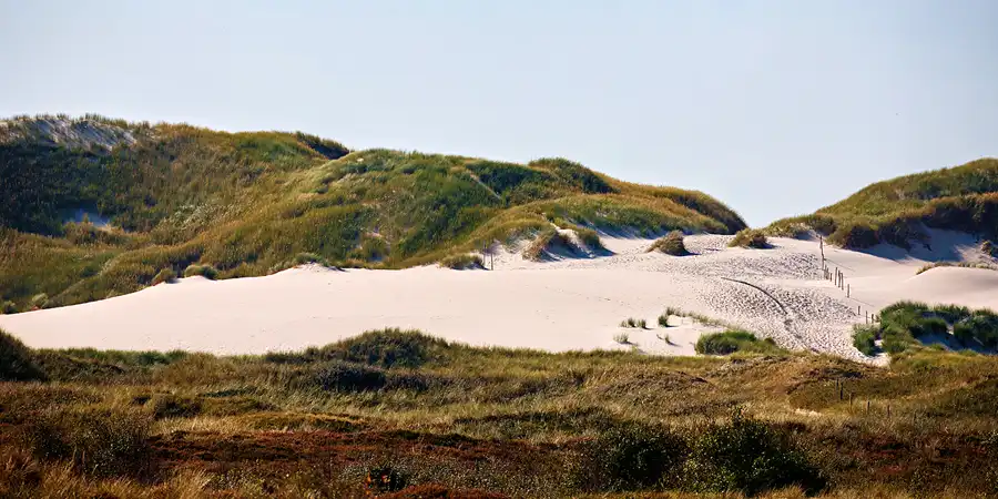 2024 | AMRUM | NORDFRIESISCHE INSELN – AMRUM | © carsten riede fotografie