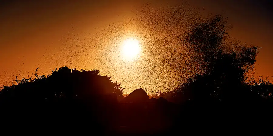 2025 | JYLLAND | SOL, HAV OG SAND | © carsten riede fotografie