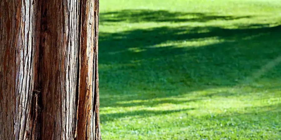 2025 | REITH IM ALPBACHTAL | MÜNSTER | MATZENPARK | © carsten riede fotografie