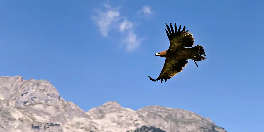 2025 | TIROL | TIROL | © carsten riede fotografie