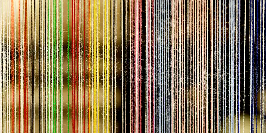 2025 | GROSSSCHÖNAU | FADENFROH | © carsten riede fotografie