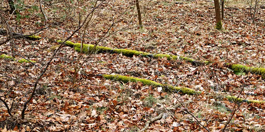 2026 | KUMMERSDORF-GUT | DIE HEERESVERSUCHSSTELLE | © carsten riede fotografie