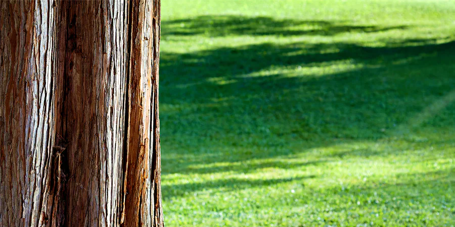 2025 | REITH IM ALPBACHTAL | MÜNSTER | MATZENPARK | © carsten riede fotografie